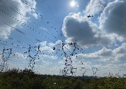 Dunkerquois : travaux sur les lignes électriques haute et très haute tension