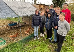 Au collège d'Airaines, on lutte contre le gaspillage alimentaire avec l'implantation d'un poulailler