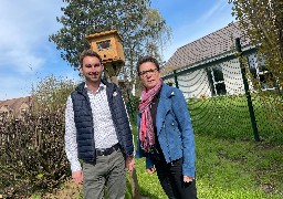 Des pièges pour les frelons asiatiques installés à Saint Léonard