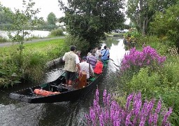 Derniers jours de vote pour que les Hortillonnages d'Amiens représentent les Hauts-de-France au « Monument préféré des français »