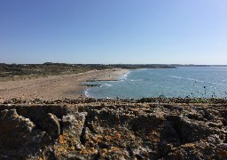 Boulonnais : la qualité de l'eau de baignade est excellente à Ambleteuse