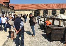 A Samer, les premiers chevaux boulonnais vendus et les premières reproductions en cours !