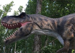 A Coudekerque-Branche, 7 animotronics ont envahi Dino Parc !