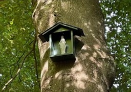 Une statue de la vierge volée dans la forêt de Crécy en Ponthieu réapparait ce mardi ! 
