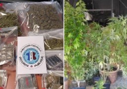 Grande-Synthe : La police met la main sur 6kg de cannabis.