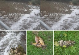 Boulonnais : Alerte à la pollution sur La Liane ce lundi !