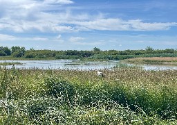 Plus de 45.000 personnes ont visité le parc du Marquenterre cet été