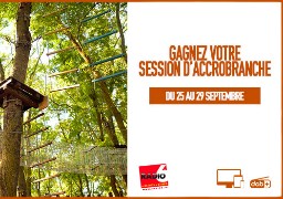 Profitez de l'automne pour vous amuser dans les arbres