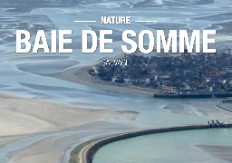 Une fréquentation touristique en légère hausse en septembre dans la Somme