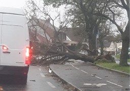 La tempête Ciaran fait de nombreux dégâts