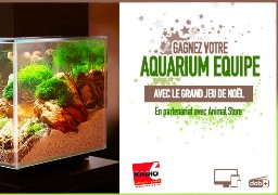 Grand jeu de noël - Animal Store vous offre votre aquarium équipé.