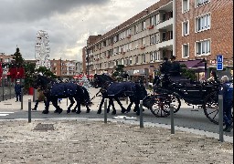 Dunkerque : les tours en calèche offerts par les commerçants amusent et apportent la magie de Noël...