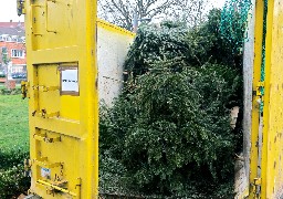 Que faire de son sapin de noël ?