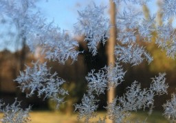 Ce mardi est la journée la plus froide de la semaine 