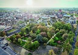 A Dunkerque, une centaine d'arbres déplacés du parc de la Marine durant trois semaines. 