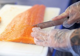 FILETEUR H/F - BOULOGNE SUR MER