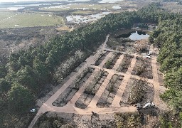 Le Parc du Marquenterre et la Maison de la Baie de Somme ont rouvert