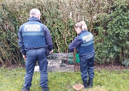 A Abbeville, une nouvelle campagne de stérilisation des chats errants a débuté