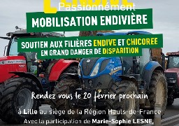 L'Europe veut interdire des herbicides, les endiviers craignent de disparaître ! 