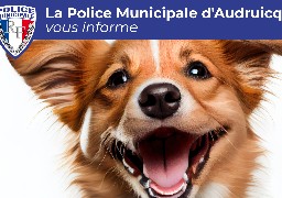  Audruicq : bientôt une amende de 200€ si vous ne ramassez pas les déjections de votre chien 