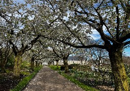 Les Jardins de Valloires ont rouvert au public le week-end dernier