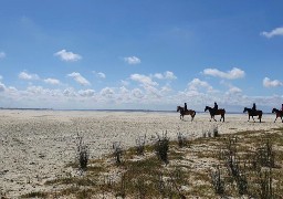 La Réserve Naturelle de la Baie de Somme va créer une nouvelle réglementation