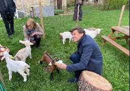 A Coudekerque-Branche, la ferme Vernaelde sauve et accueille 5 chevreaux destinés à l'abattoir.