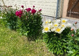 Bonne fête à toutes les mamans !