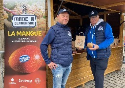 Le Port de Dunkerque réceptionne 2000 tonnes de mangues par semaine en ce moment ! 