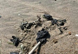Pollution sur les plages de Dunkerque, Leffrinckoucke et Zuydcoote. 