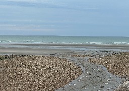 Baignade interdite à Wimereux