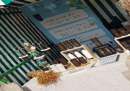 Bourbourg fête le Lin samedi !