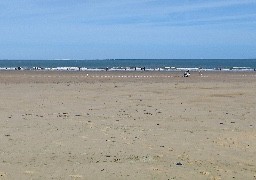 Grandes marées et méduses : les réactions des habitants et des touristes sur la plage.