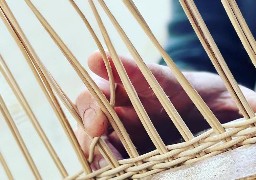 Somme: la vannerie Candas à le Boisle a créé son propre centre de formation