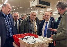 Boulogne sur mer, : le ministre délégué à la mer et à la pêche est venu préparer la défense des intérêts des marins.