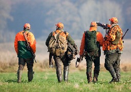 Les battues aux grands gibiers vont bientôt commencer à Abbeville