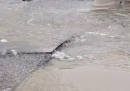 Dunkerque: une canalisation d'eau potable rompue, avenue de l'Université