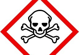 Des chiens et des chats meurent empoisonnés par des boulettes de thon à Loon-Plage !