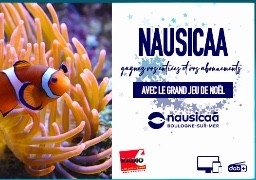 Grand jeu de noël - Gagnez des abonnements à Nausicaa et de nombreuses entrées pour toute la famille