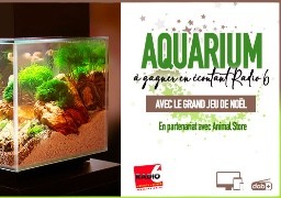Grand jeu de noël - Gagnez votre aquarium équipé avec Animal Store