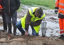 La campagne de plantation de haies est lancée dans le Grand Calais. 