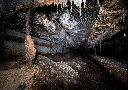 L214 porte plainte et réclame la fermeture de 3 élevages de lapins dans le Nord et le Pas-de-Calais