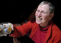 Blendecques : des recherches pour tenter de retrouver une femme de 74 ans portée disparue. 