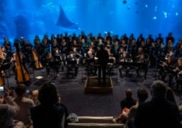 Record de fréquentation pour Nausicaà en 2024.