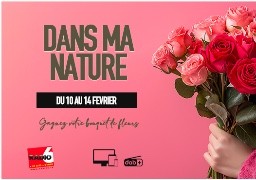 Gagnez votre bouquets de fleurs avec Dans ma nature à la Capelle les Boulogne
