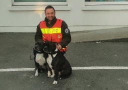 Deux chiens sauvent leur famille d'un incendie