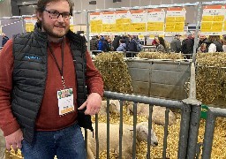 11 éleveurs de moutons boulonnais présents cette année au Salon de l'Agriculture ! 