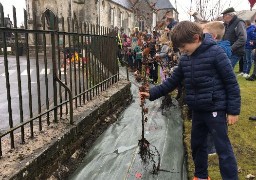 Hauts-de-France : depuis 2020, 1 million d'arbres ont été plantés grâce à la Région