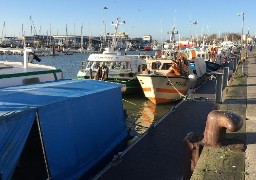 Liste rouge des chalutiers réalisée par l'ONG Bloom: le comité régional des pêches réagit