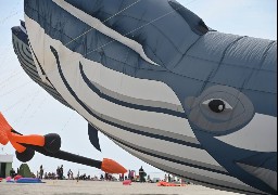 Cerfs-Volants à Berck : fresque humaine géante et tentative de record du monde au programme ce mercredi !